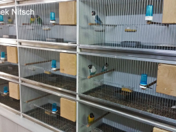 Ptaszarnia 2015