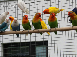 052